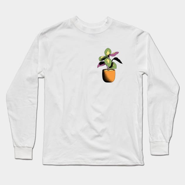 Potted Calathea Plant Long Sleeve T-Shirt by gronly